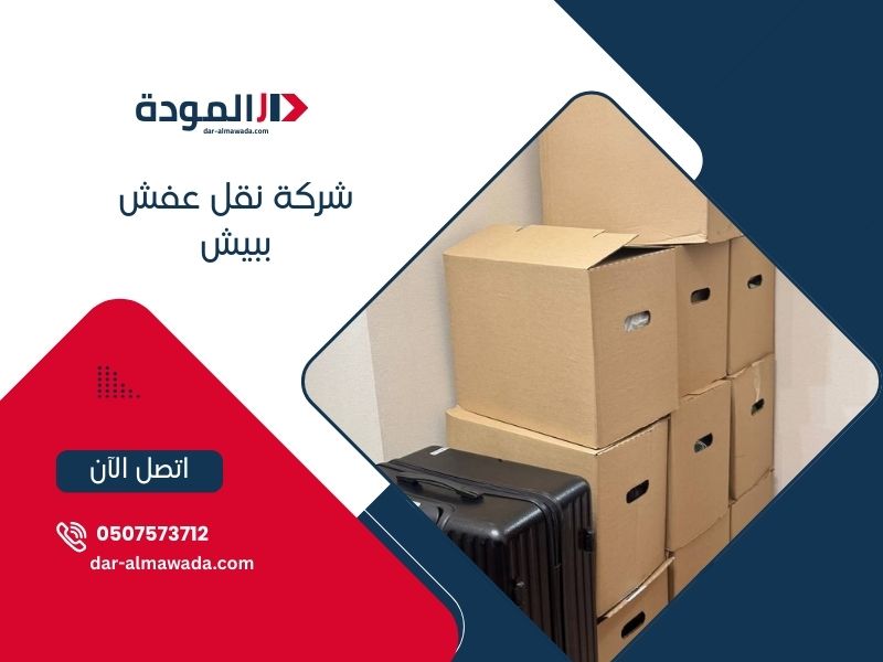 شركة نقل عفش ببيش  